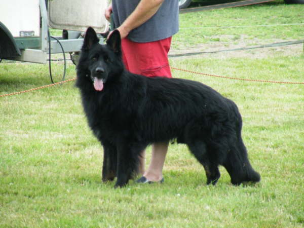 db_DSCF0051_640x4801